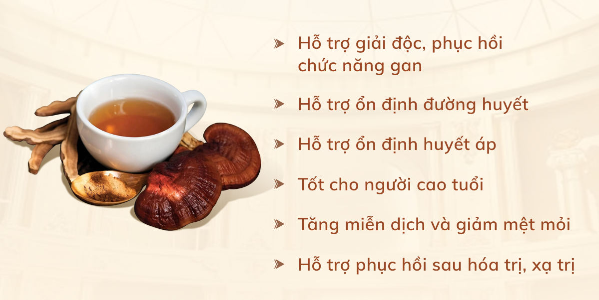 Nấm Lim Xanh uống có tác dụng gì